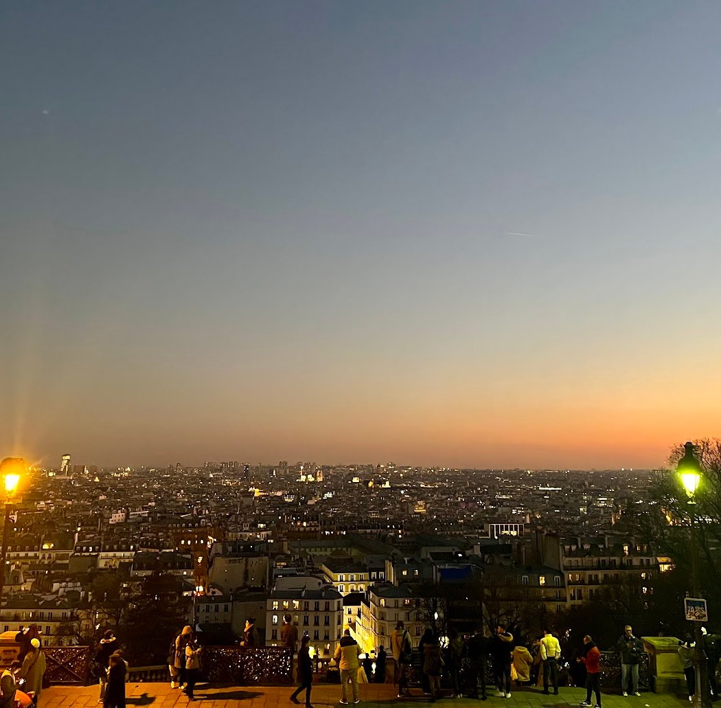 Overlook of Paris 1